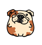 Joy's English Bulldog World (2)（個別スタンプ：2）