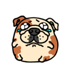 Joy's English Bulldog World (2)（個別スタンプ：3）