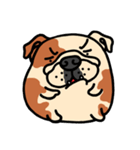 Joy's English Bulldog World (2)（個別スタンプ：4）