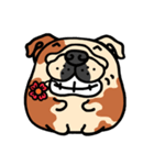 Joy's English Bulldog World (2)（個別スタンプ：6）