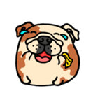 Joy's English Bulldog World (2)（個別スタンプ：9）
