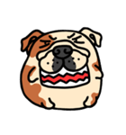 Joy's English Bulldog World (2)（個別スタンプ：10）