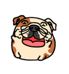 Joy's English Bulldog World (2)（個別スタンプ：11）