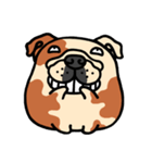Joy's English Bulldog World (2)（個別スタンプ：12）