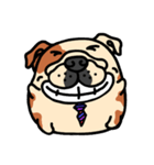 Joy's English Bulldog World (2)（個別スタンプ：15）