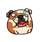 Joy's English Bulldog World (2)（個別スタンプ：17）
