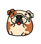 Joy's English Bulldog World (2)（個別スタンプ：18）