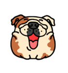 Joy's English Bulldog World (2)（個別スタンプ：19）