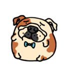 Joy's English Bulldog World (2)（個別スタンプ：20）