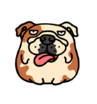 Joy's English Bulldog World (2)（個別スタンプ：24）