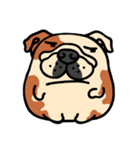 Joy's English Bulldog World (2)（個別スタンプ：25）
