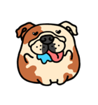 Joy's English Bulldog World (2)（個別スタンプ：26）