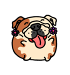 Joy's English Bulldog World (2)（個別スタンプ：29）