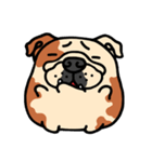 Joy's English Bulldog World (2)（個別スタンプ：30）