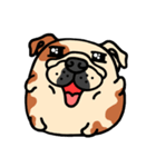 Joy's English Bulldog World (2)（個別スタンプ：31）