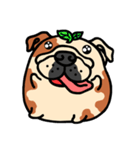 Joy's English Bulldog World (2)（個別スタンプ：33）