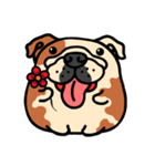 Joy's English Bulldog World (2)（個別スタンプ：34）
