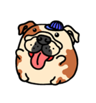 Joy's English Bulldog World (2)（個別スタンプ：36）
