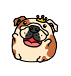 Joy's English Bulldog World (2)（個別スタンプ：37）