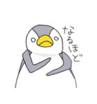 おてんばペンギン そらみ（個別スタンプ：15）