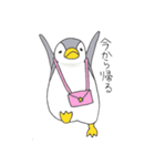 おてんばペンギン そらみ（個別スタンプ：17）