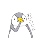 おてんばペンギン そらみ（個別スタンプ：26）
