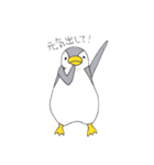 おてんばペンギン そらみ（個別スタンプ：27）