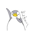 おてんばペンギン そらみ（個別スタンプ：28）