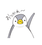 おてんばペンギン そらみ（個別スタンプ：35）