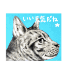 チャチャとゆかいな仲間たち（個別スタンプ：3）