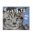 チャチャとゆかいな仲間たち（個別スタンプ：9）