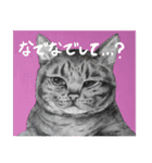 チャチャとゆかいな仲間たち（個別スタンプ：12）