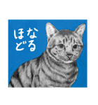 チャチャとゆかいな仲間たち（個別スタンプ：13）