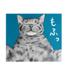 チャチャとゆかいな仲間たち（個別スタンプ：15）