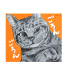 チャチャとゆかいな仲間たち（個別スタンプ：17）