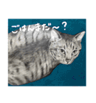 チャチャとゆかいな仲間たち（個別スタンプ：18）
