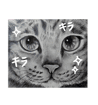 チャチャとゆかいな仲間たち（個別スタンプ：19）