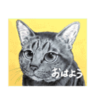 チャチャとゆかいな仲間たち（個別スタンプ：21）