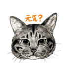 チャチャとゆかいな仲間たち（個別スタンプ：25）