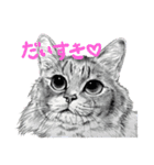 チャチャとゆかいな仲間たち（個別スタンプ：28）