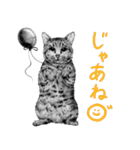 チャチャとゆかいな仲間たち（個別スタンプ：35）
