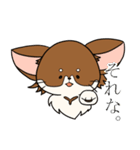 まろわん。（個別スタンプ：1）