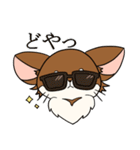 まろわん。（個別スタンプ：4）