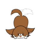 まろわん。（個別スタンプ：7）
