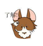 まろわん。（個別スタンプ：17）