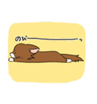 まろわん。（個別スタンプ：20）