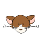 まろわん。（個別スタンプ：21）