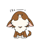 まろわん。（個別スタンプ：22）