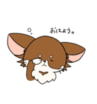 まろわん。（個別スタンプ：24）