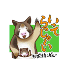 どうぶつ博士（個別スタンプ：2）